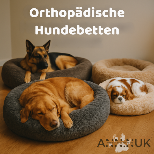 Orthopädisches Hundebett – Warum es die beste Wahl für deinen Vierbeiner ist