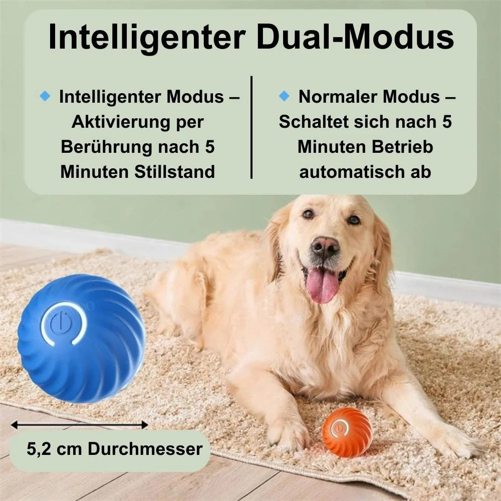 Interaktiver Spielball für Hunde
