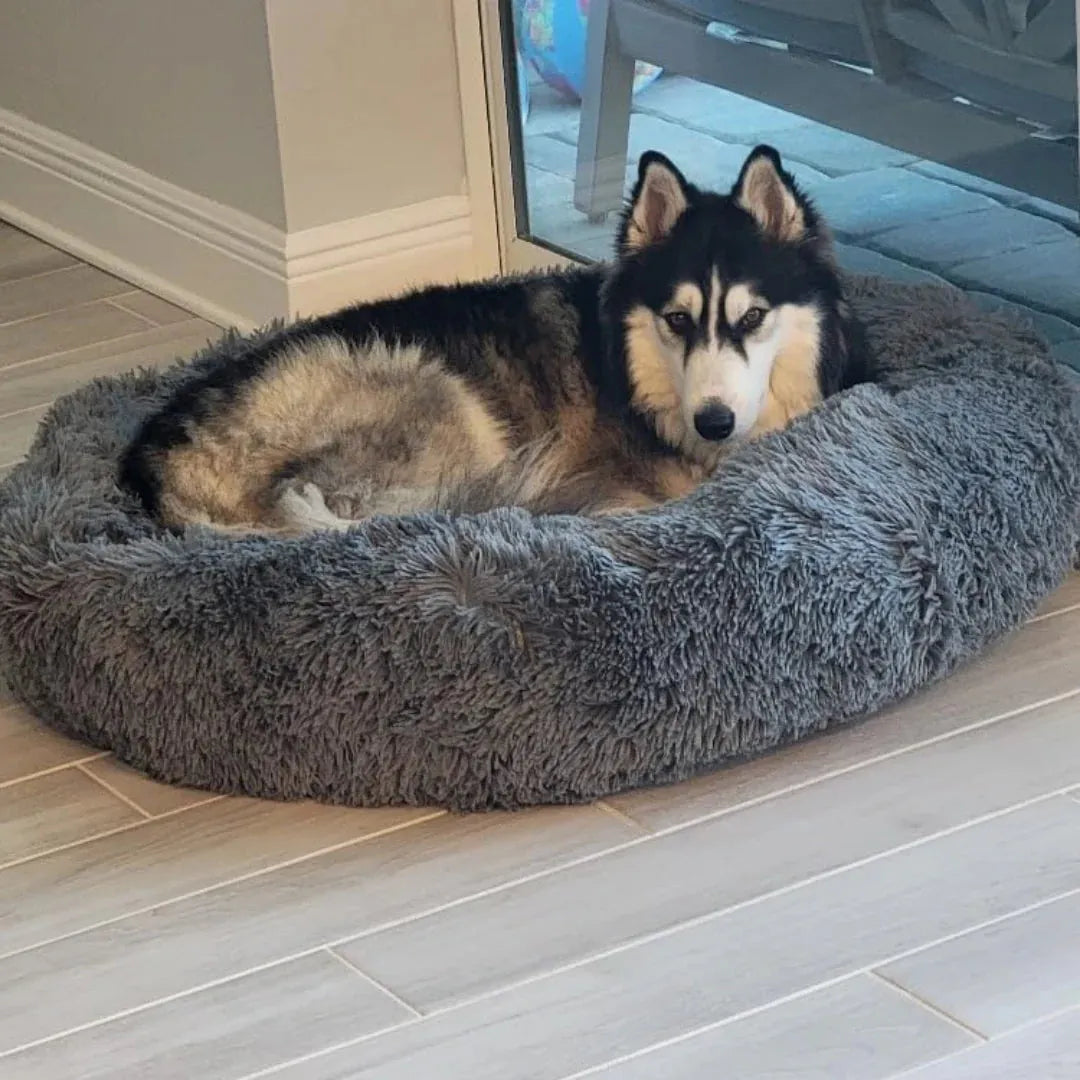 Das Orginal aus Österreich - XXL Hundebett Wolke 7 - ANN.NUK