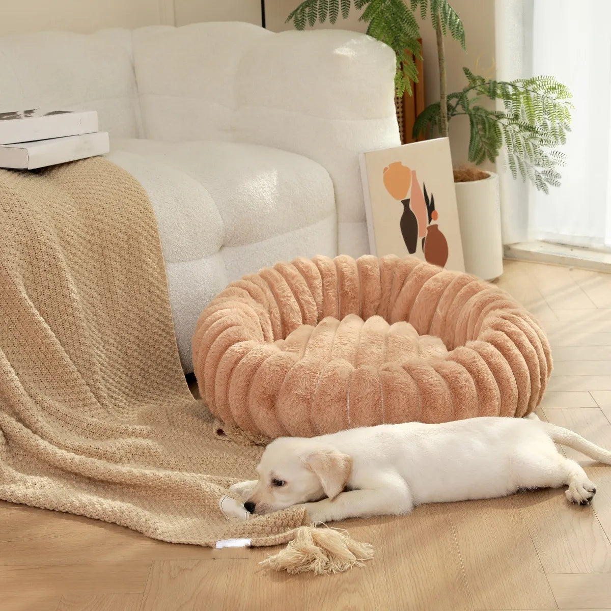 Orthopädisches Hundebett MINEA