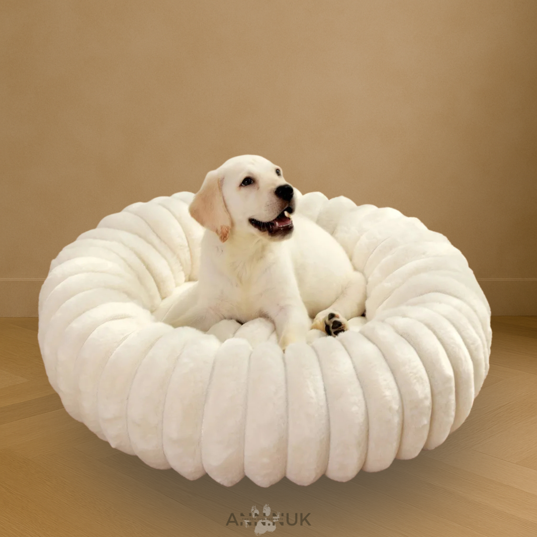 Orthopädisches Hundebett MINEA