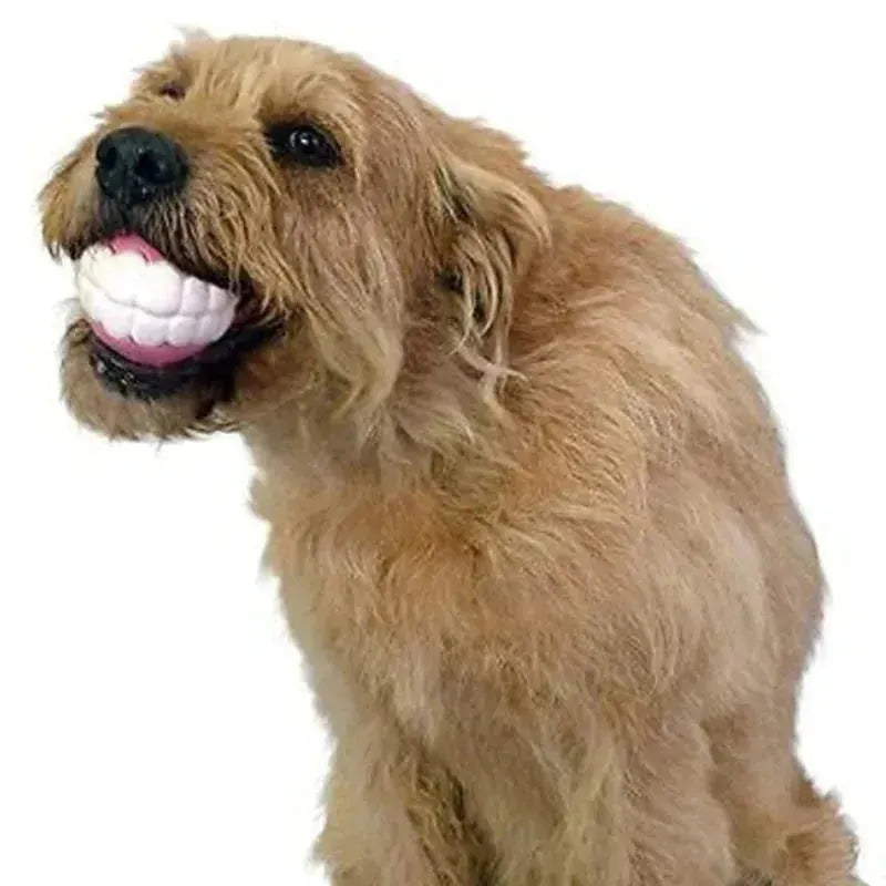 ANN.NUK - BISSFESTES HUNDESPIELZEUG AUS SILIKON - ANN.NUK