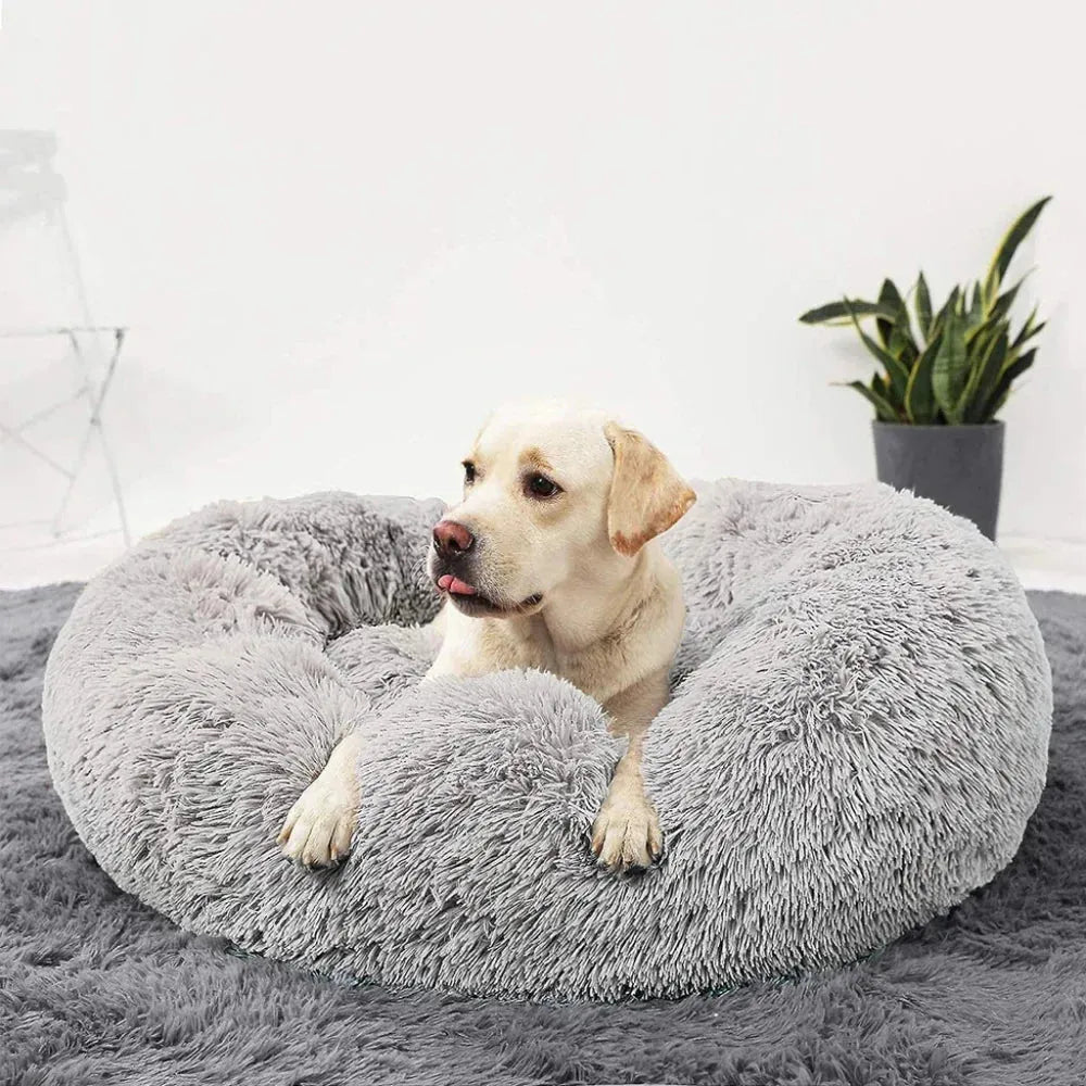 Das Orginal aus Österreich - XXL Hundebett Wolke 7 - ANN.NUK