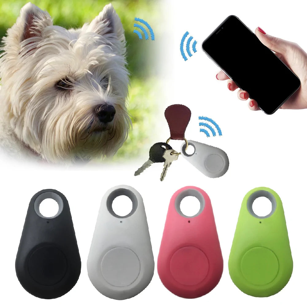 Haustier GPS-Tracker und Aktivitätsmonitor