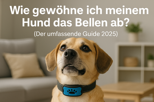 Wie gewöhne ich meinem Hund das Bellen ab?