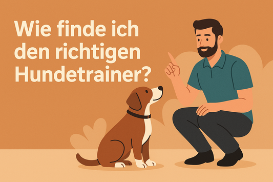 Wie finde ich den richtigen Hundetrainer? 🐾