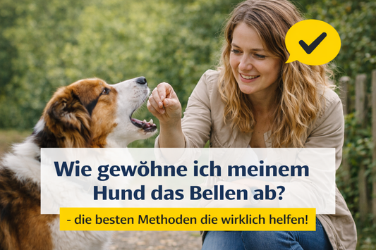 Hund bellen abgewöhnen – die besten Methoden, die wirklich helfen