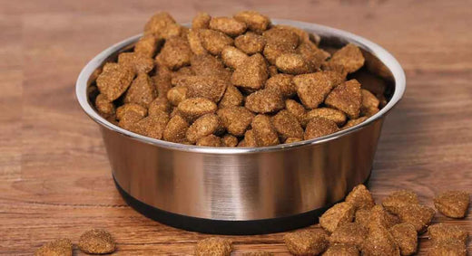 Der Hundefutter-Blog 2025 - ANN.NUK