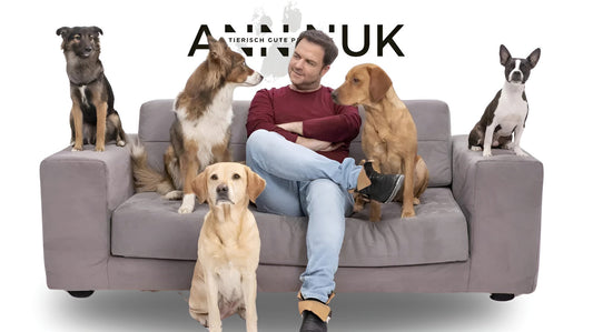 Schluss mit dem Dauergebell – So hilfst du deinem Hund wirklich!