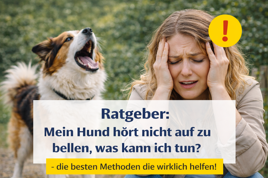 Hund hört nicht auf zu bellen – Ursachen und was wirklich hilft