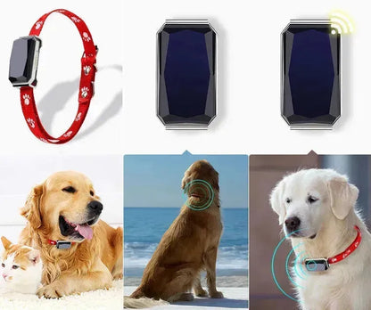 ANN.NUK HIGHLIGHT - GPS TRACKER INKL. HALSBAND - ANN.NUK