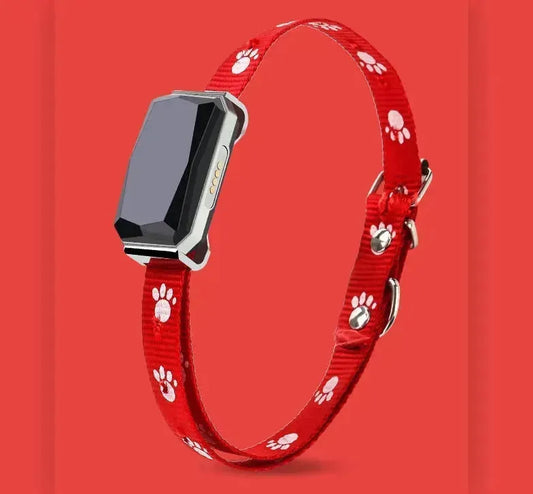ANN.NUK HIGHLIGHT - GPS TRACKER INKL. HALSBAND - ANN.NUK