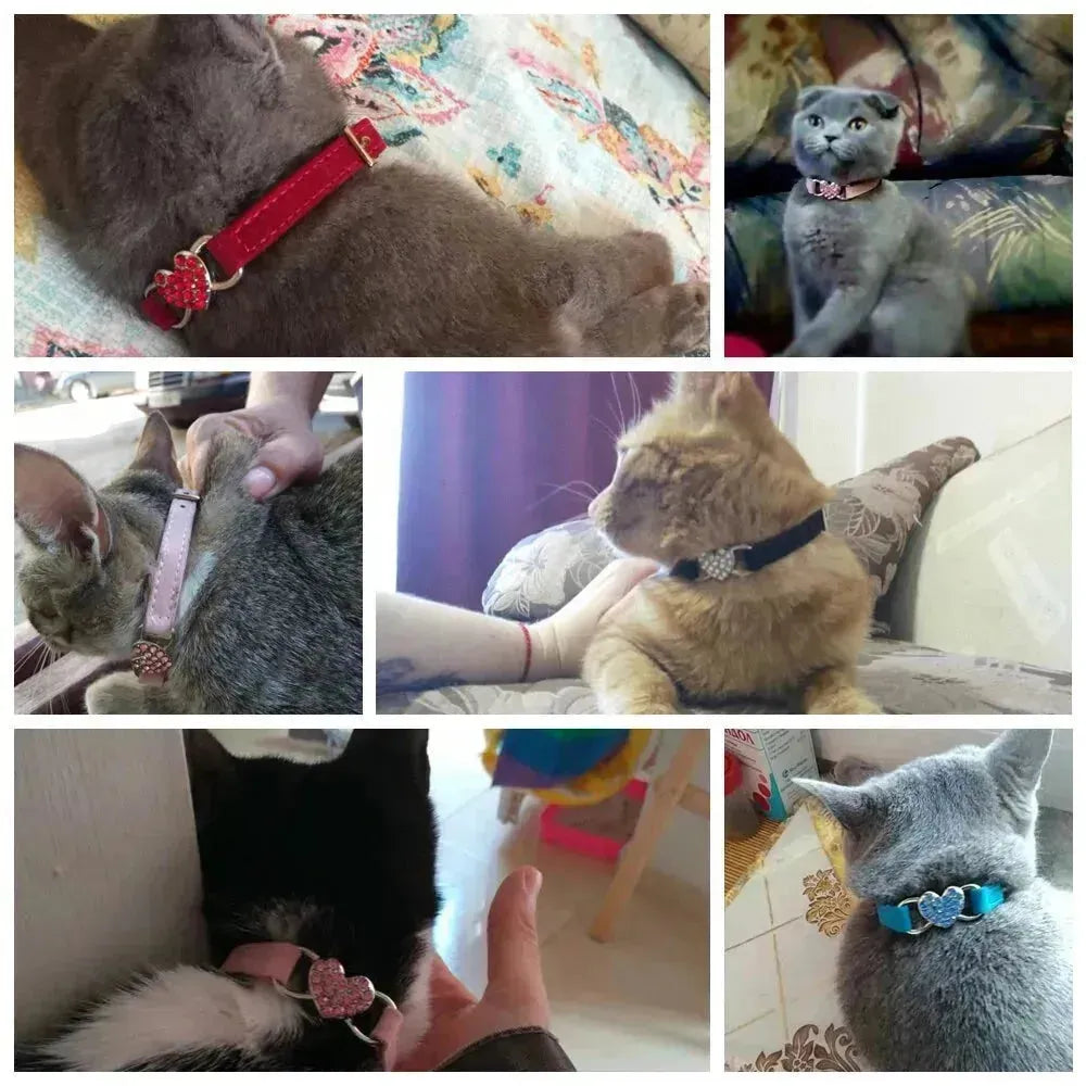 ANN.NUK - Kitten- und Welpenhalsband - ANN.NUK
