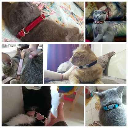 ANN.NUK - Kitten- und Welpenhalsband - ANN.NUK