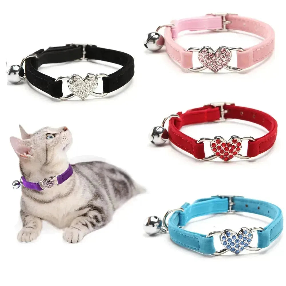ANN.NUK - Kitten- und Welpenhalsband - ANN.NUK