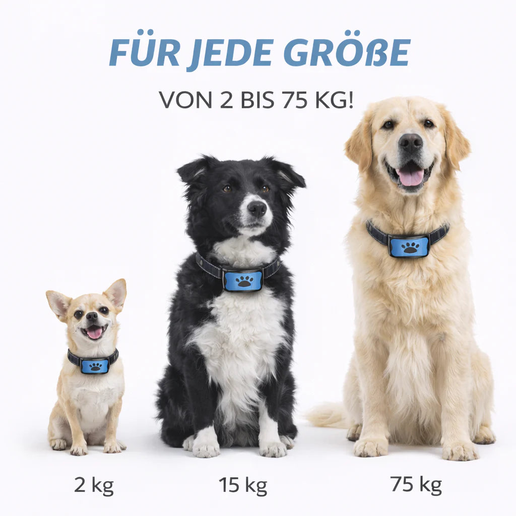 Antibell Halsband Sanftes Training ohne Strom fr Hunde ANNNUK Antibell Halsband Sanftes Training ohne Strom fr Hunde ANNNUK