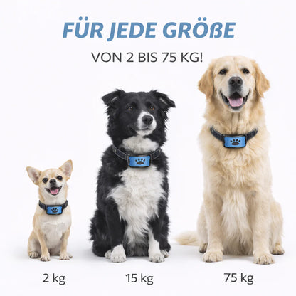 Sanftes Anti-Bell-Training – Empfohlen von Experten!