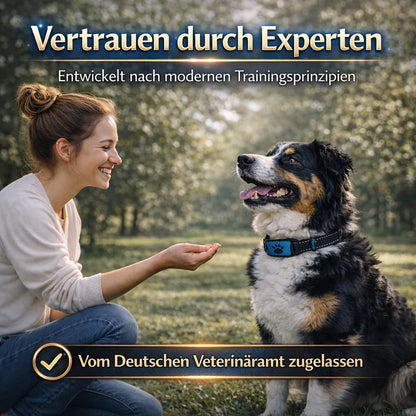 Sanftes Anti-Bell-Training – Empfohlen von Experten!