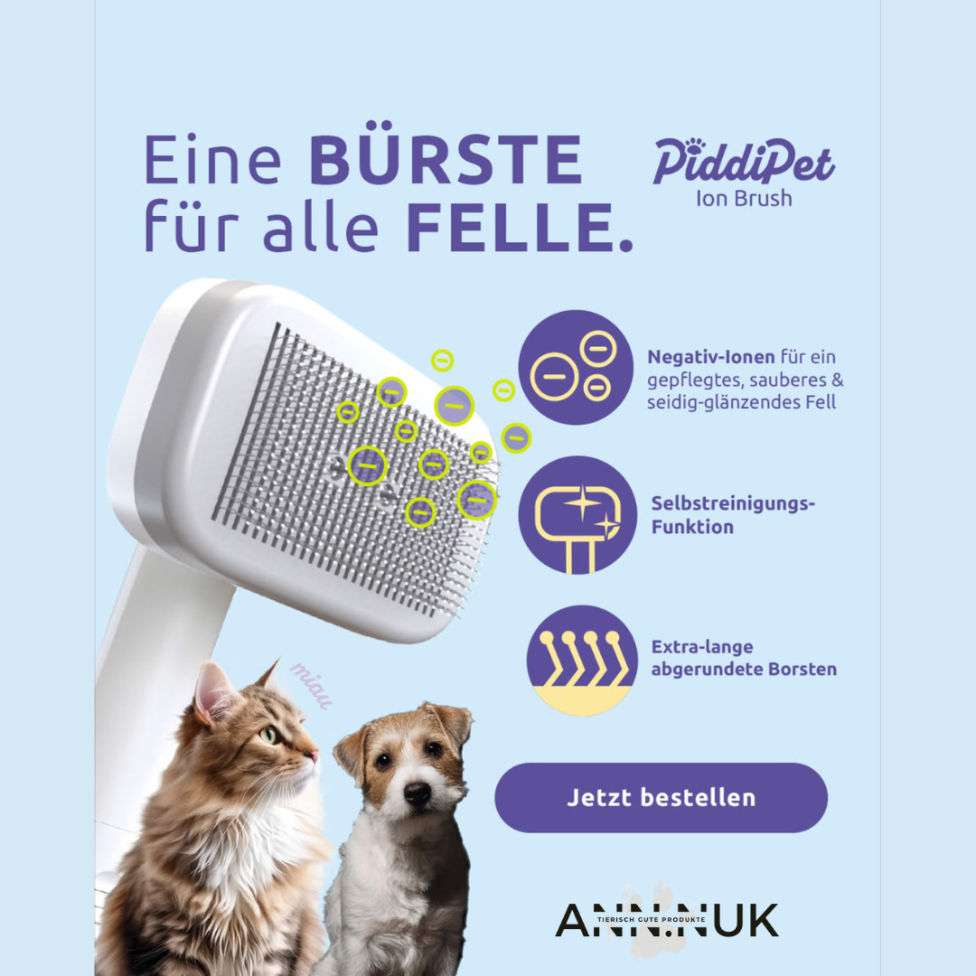 Dampfbürste - Revolutionäre Fellpflege mit Negativ-Ionen