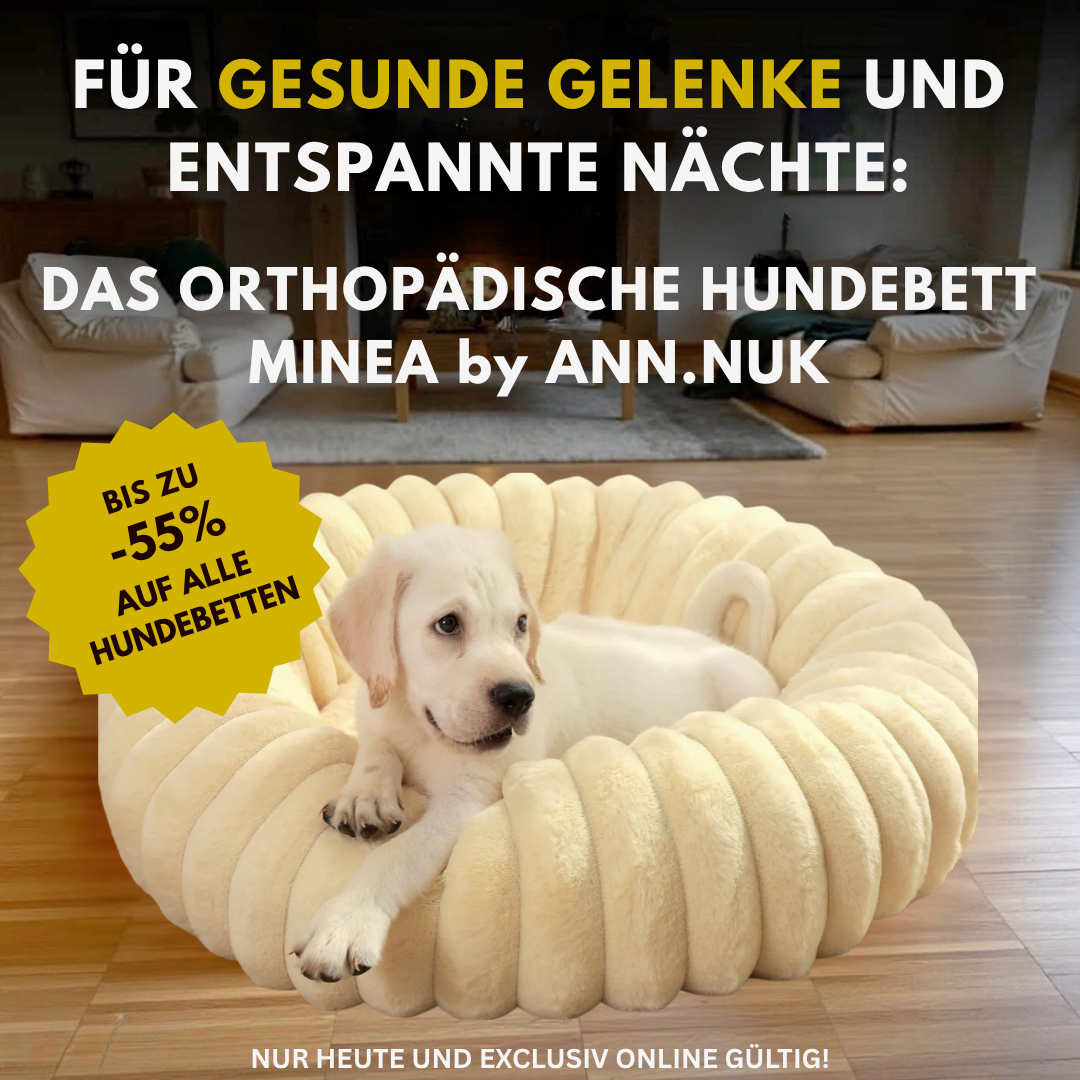 Orthopädisches Hundebett MINEA