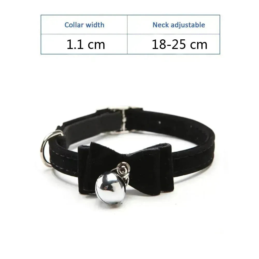 ANN.NUK - Kitten- und Welpenhalsband - ANN.NUK