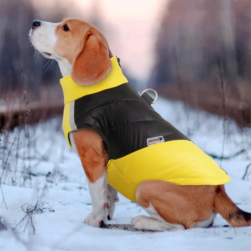 Wasserfeste Hundejacke - ANN.NUK