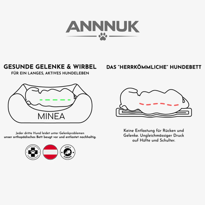 Vorteile eines orthopädischen Hundebettes
