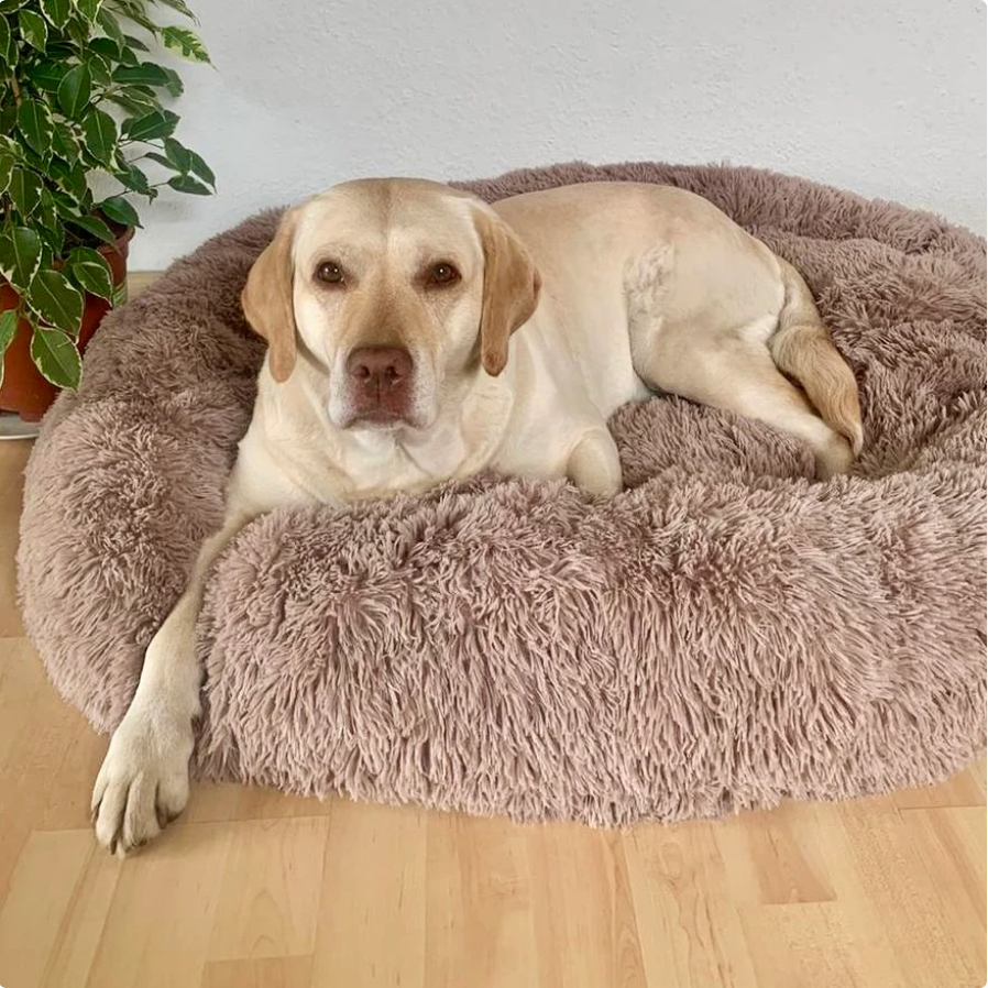 ANN.NUK - "Der Kuscheldonut" orthopädisches Hundebett aus Österreich - ANN.NUK