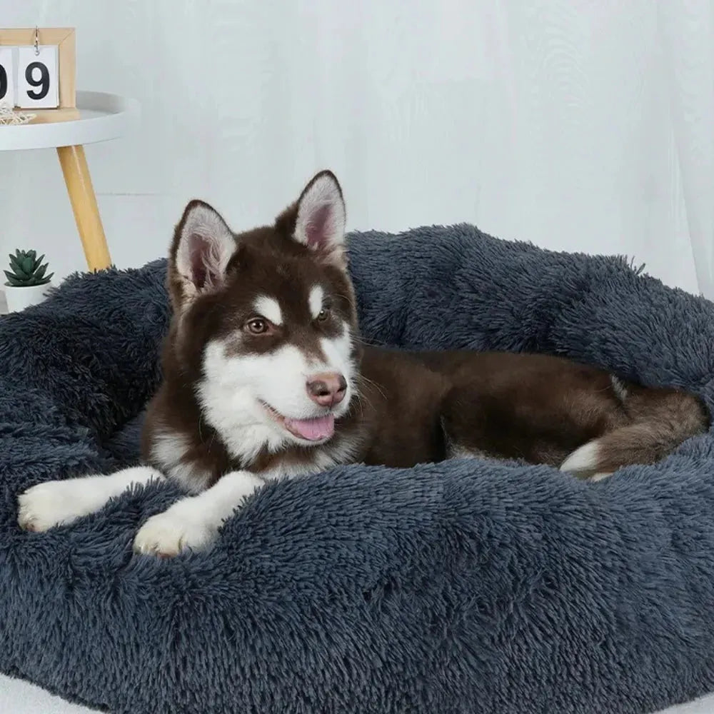 Das Orginal aus Österreich - XXL Hundebett Wolke 7 - ANN.NUK