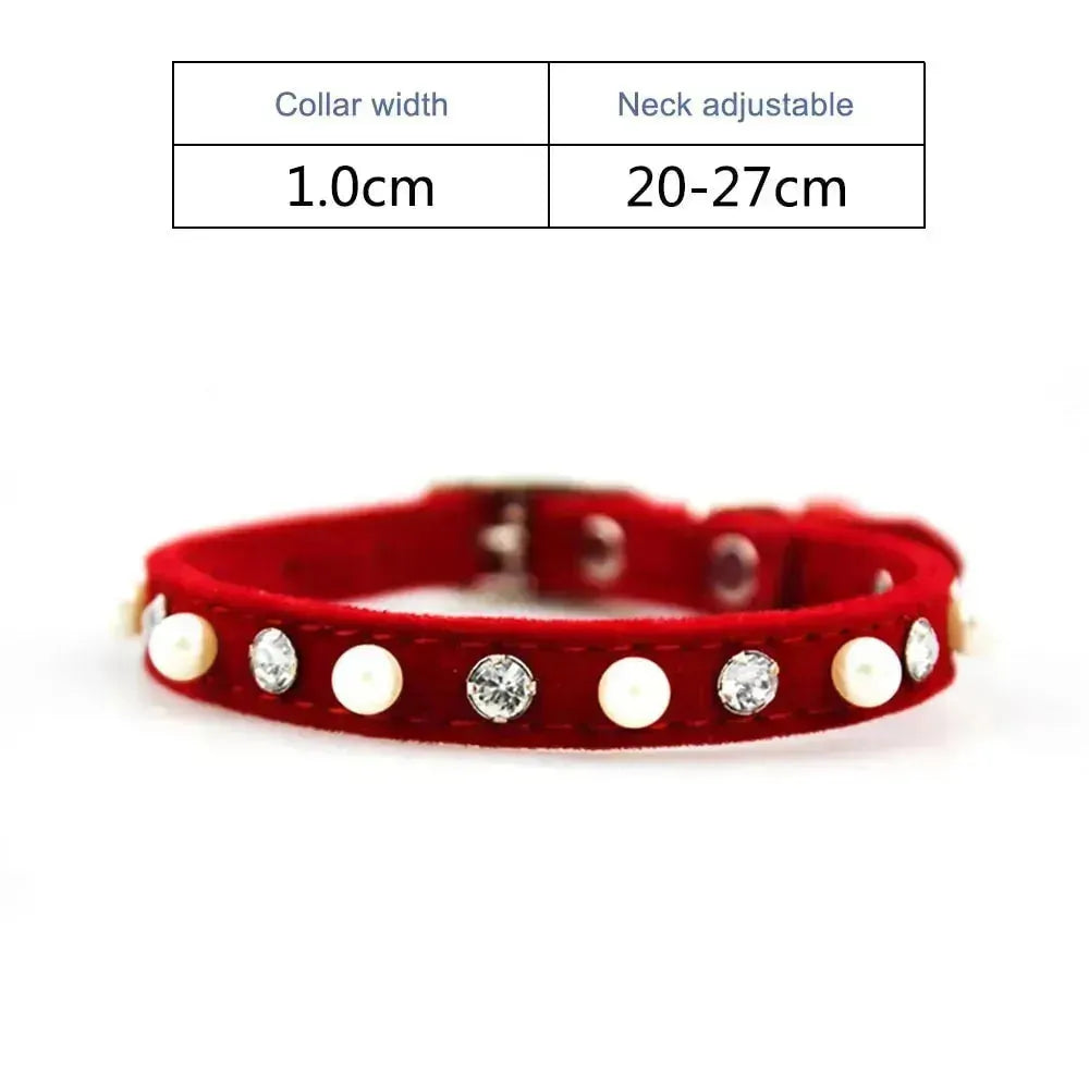 ANN.NUK - Kitten- und Welpenhalsband - ANN.NUK