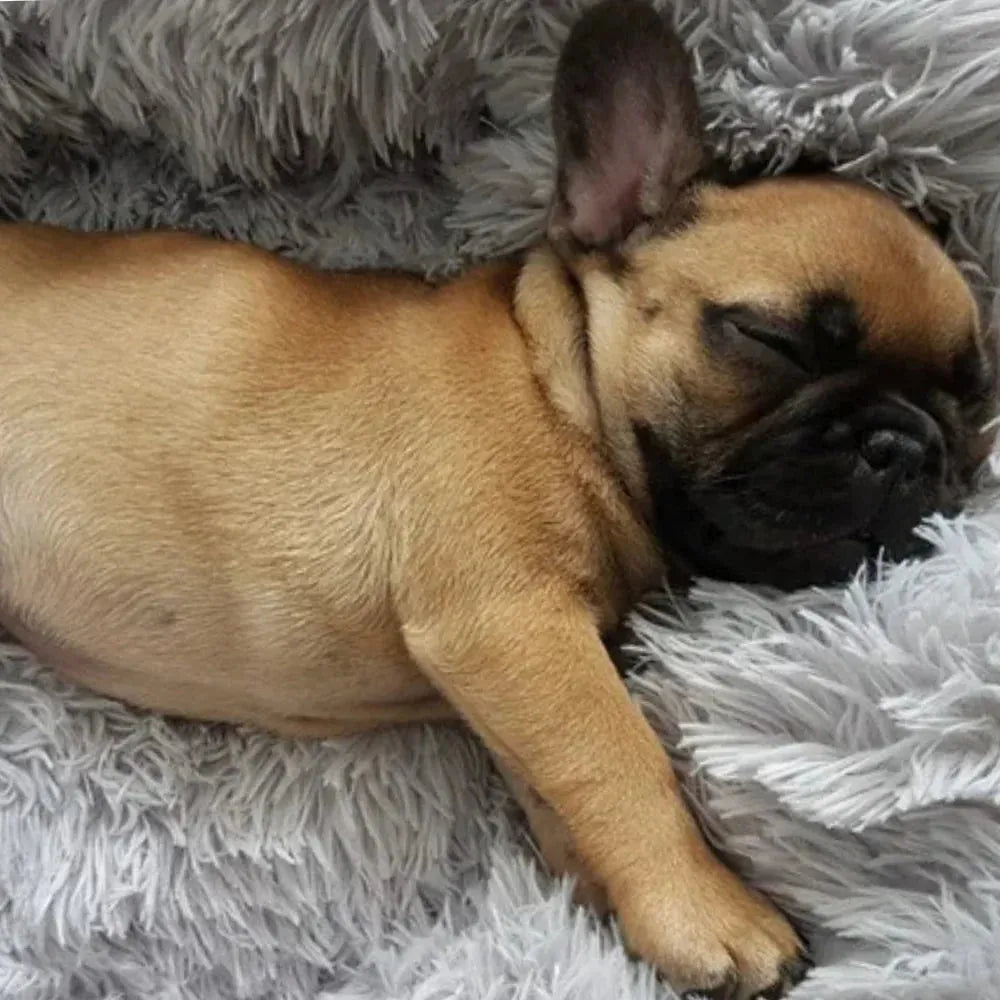 Das Orginal aus Österreich - XXL Hundebett Wolke 7 - ANN.NUK