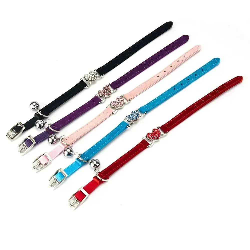 ANN.NUK - Kitten- und Welpenhalsband - ANN.NUK